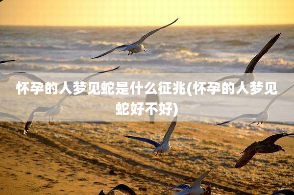 怀孕的人梦见蛇是什么征兆(怀孕的人梦见蛇好不好)