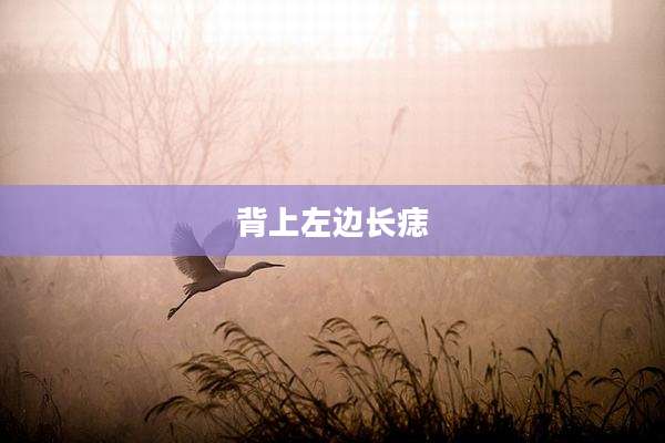 背上左边长痣