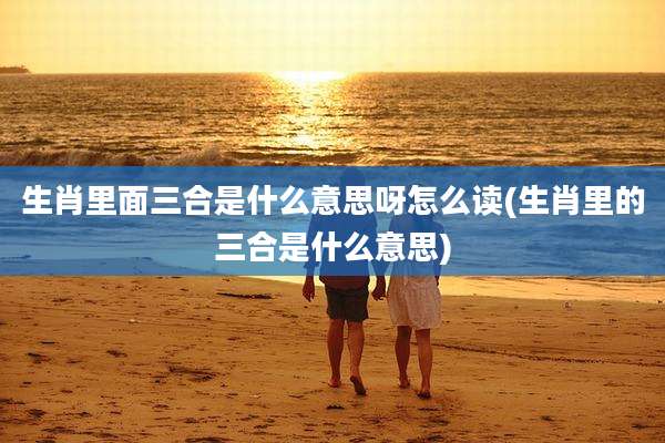 生肖里面三合是什么意思呀怎么读(生肖里的三合是什么意思)