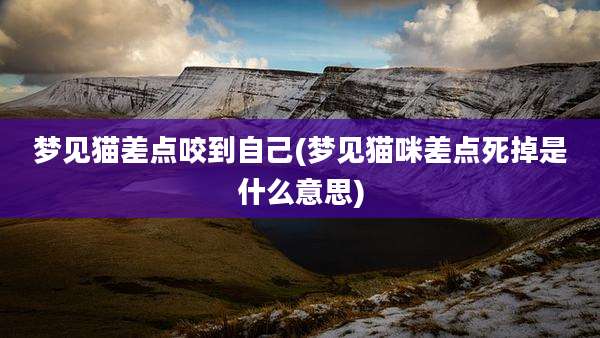 梦见猫差点咬到自己(梦见猫咪差点死掉是什么意思)