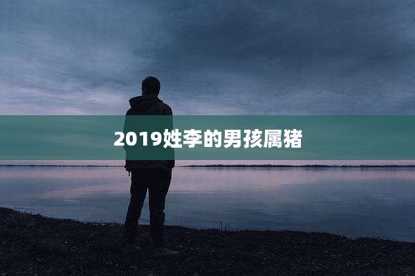 2019姓李的男孩属猪