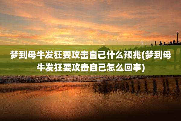 梦到母牛发狂要攻击自己什么预兆(梦到母牛发狂要攻击自己怎么回事)