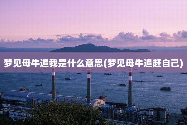 梦见母牛追我是什么意思(梦见母牛追赶自己)
