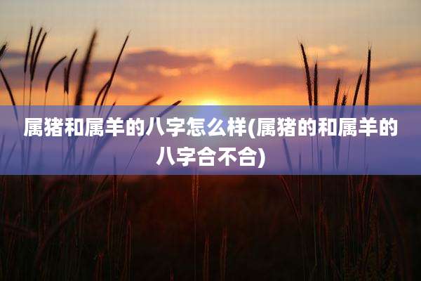 属猪和属羊的八字怎么样(属猪的和属羊的八字合不合)