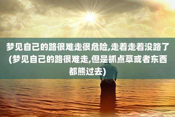 梦见自己的路很难走很危险,走着走着没路了(梦见自己的路很难走,但是抓点草或者东西都熊过去)