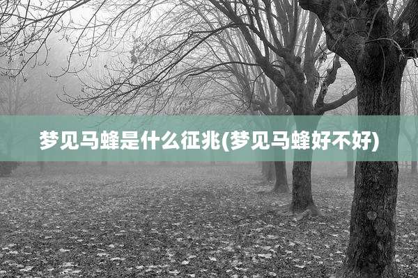 梦见马蜂是什么征兆(梦见马蜂好不好)