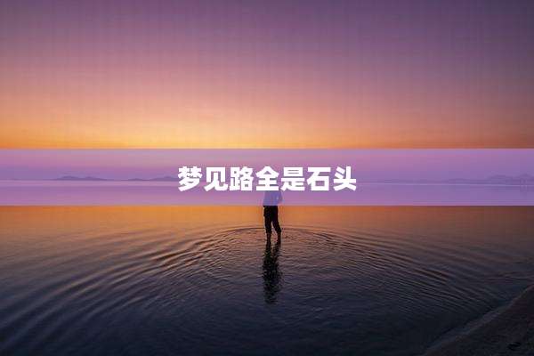 梦见路全是石头