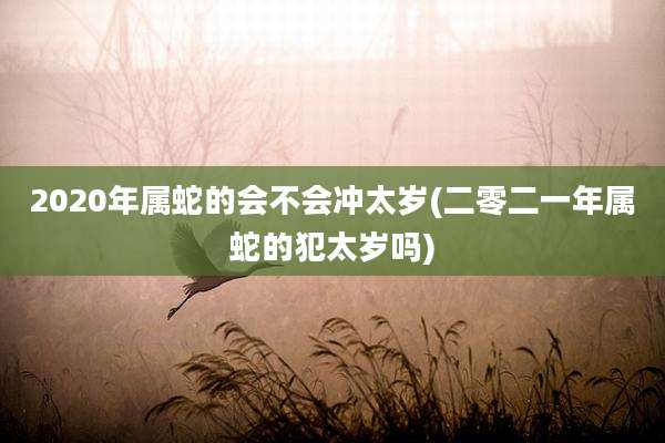 2020年属蛇的会不会冲太岁(二零二一年属蛇的犯太岁吗)