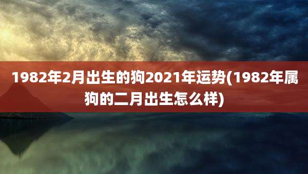 1982年2月出生的狗2021年运势(1982年属狗的二月出生怎么样)