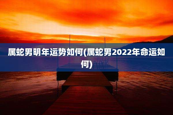 属蛇男明年运势如何(属蛇男2022年命运如何)