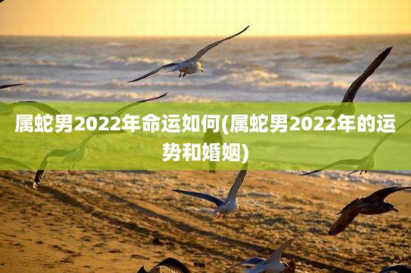 属蛇男2022年命运如何(属蛇男2022年的运势和婚姻)