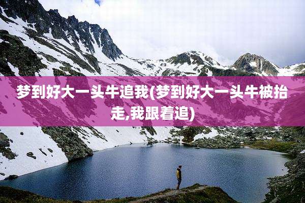 梦到好大一头牛追我(梦到好大一头牛被抬走,我跟着追)