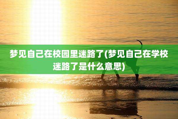 梦见自己在校园里迷路了(梦见自己在学校迷路了是什么意思)
