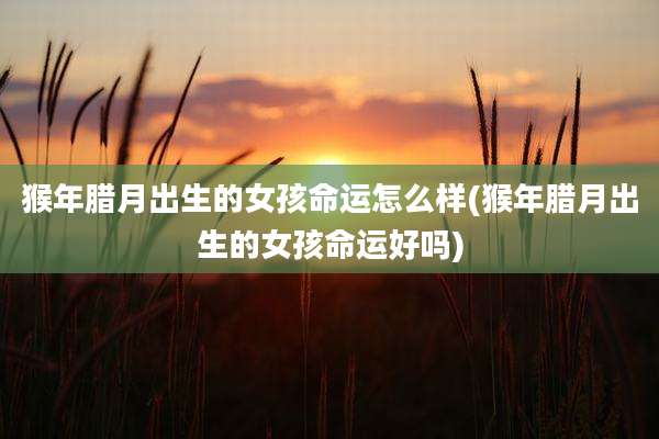 猴年腊月出生的女孩命运怎么样(猴年腊月出生的女孩命运好吗)