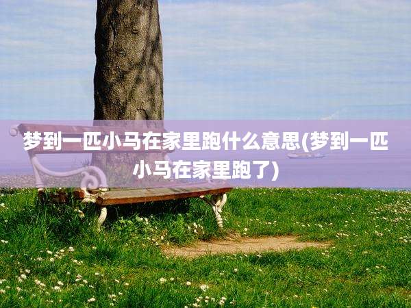 梦到一匹小马在家里跑什么意思(梦到一匹小马在家里跑了)