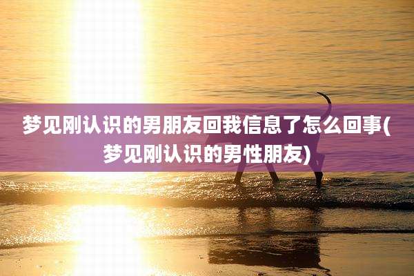 梦见刚认识的男朋友回我信息了怎么回事(梦见刚认识的男性朋友)
