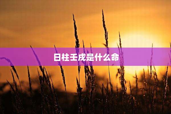 日柱壬戌是什么命