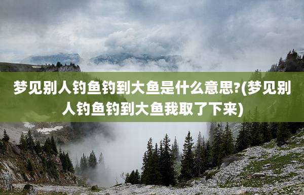 梦见别人钓鱼钓到大鱼是什么意思?(梦见别人钓鱼钓到大鱼我取了下来)