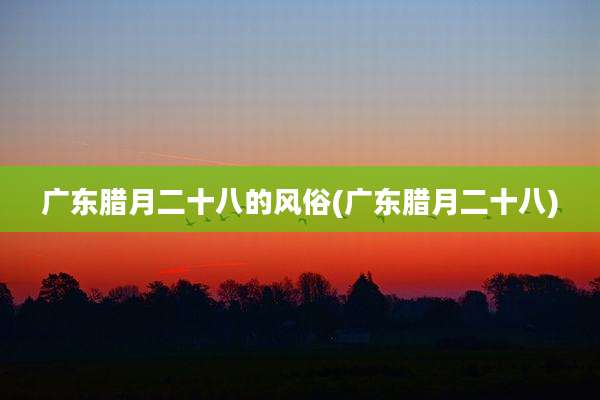 广东腊月二十八的风俗(广东腊月二十八)
