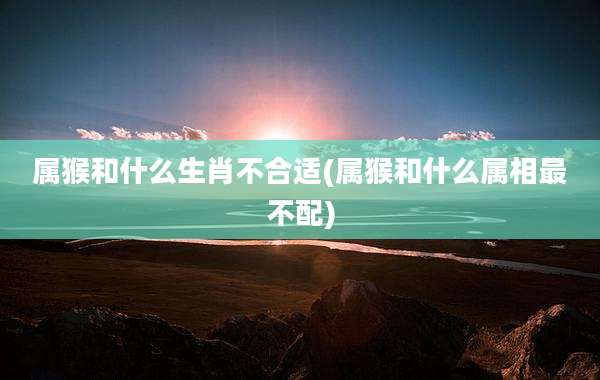 属猴和什么生肖不合适(属猴和什么属相最不配)