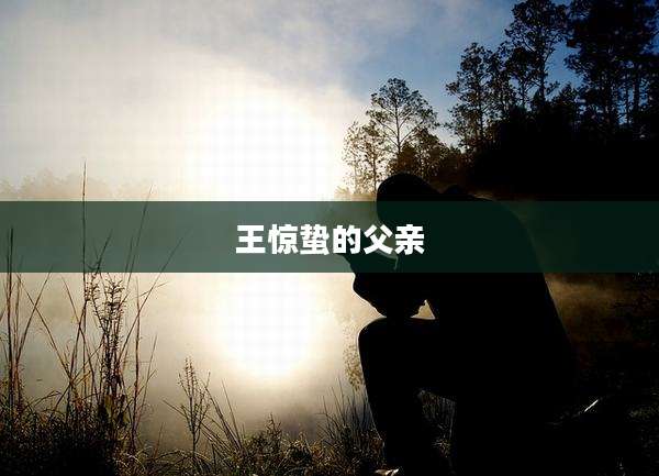 王惊蛰的父亲