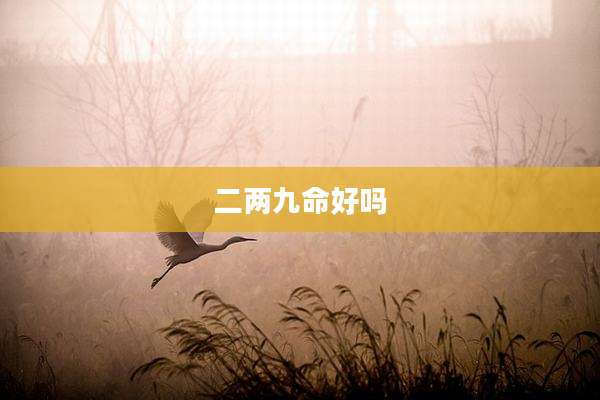 二两九命好吗