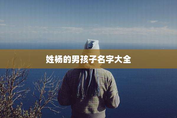 姓杨的男孩子名字大全