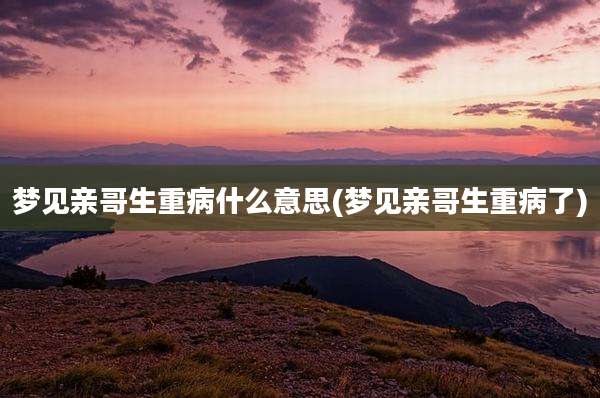 梦见亲哥生重病什么意思(梦见亲哥生重病了)