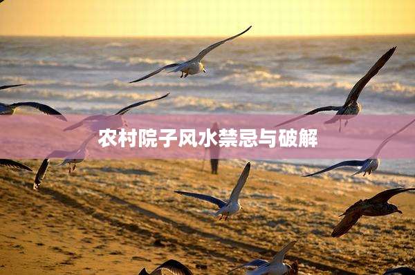农村院子风水禁忌与破解