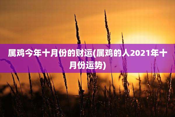 属鸡今年十月份的财运(属鸡的人2021年十月份运势)