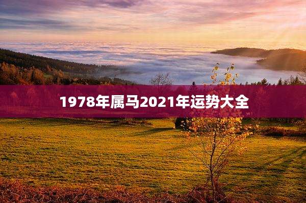 1978年属马2021年运势大全