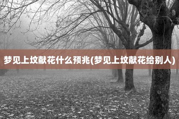 梦见上坟献花什么预兆(梦见上坟献花给别人)