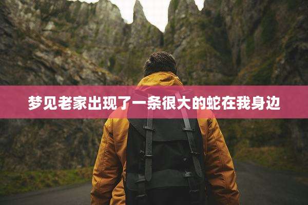 梦见老家出现了一条很大的蛇在我身边