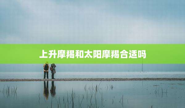 上升摩羯和太阳摩羯合适吗