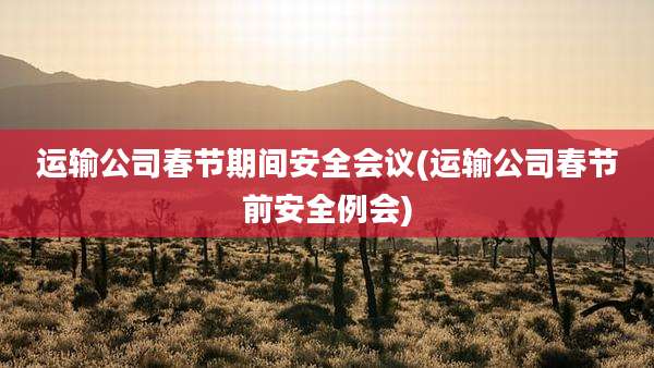 运输公司春节期间安全会议(运输公司春节前安全例会)