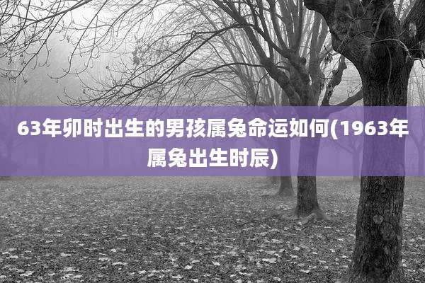 63年卯时出生的男孩属兔命运如何(1963年属兔出生时辰)
