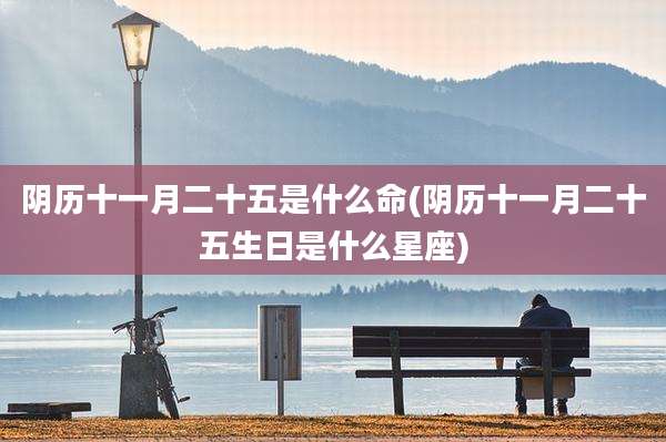 阴历十一月二十五是什么命(阴历十一月二十五生日是什么星座)