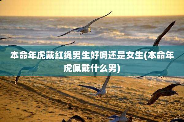 本命年虎戴红绳男生好吗还是女生(本命年虎佩戴什么男)