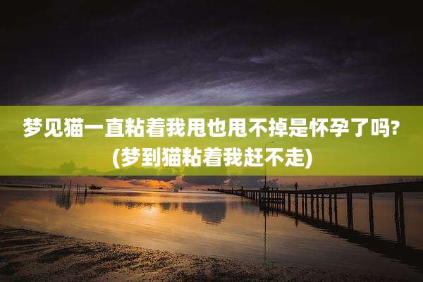 梦见猫一直粘着我甩也甩不掉是怀孕了吗?(梦到猫粘着我赶不走)