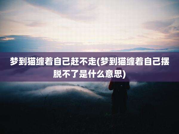 梦到猫缠着自己赶不走(梦到猫缠着自己摆脱不了是什么意思)