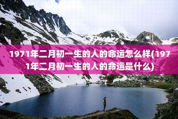 1971年二月初一生的人的命运怎么样(1971年二月初一生的人的命运是什么)
