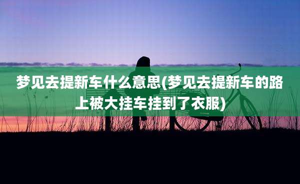 梦见去提新车什么意思(梦见去提新车的路上被大挂车挂到了衣服)