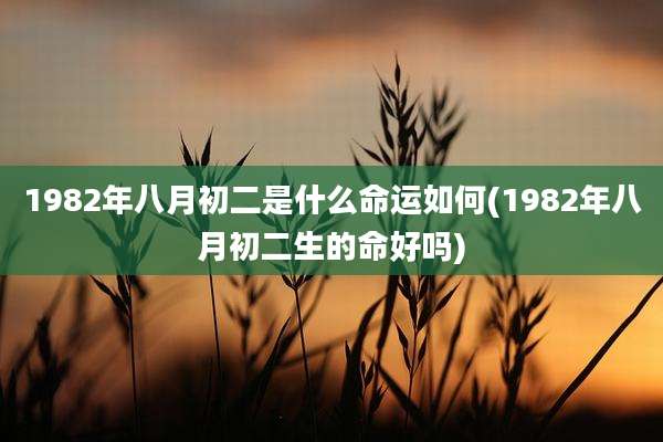 1982年八月初二是什么命运如何(1982年八月初二生的命好吗)