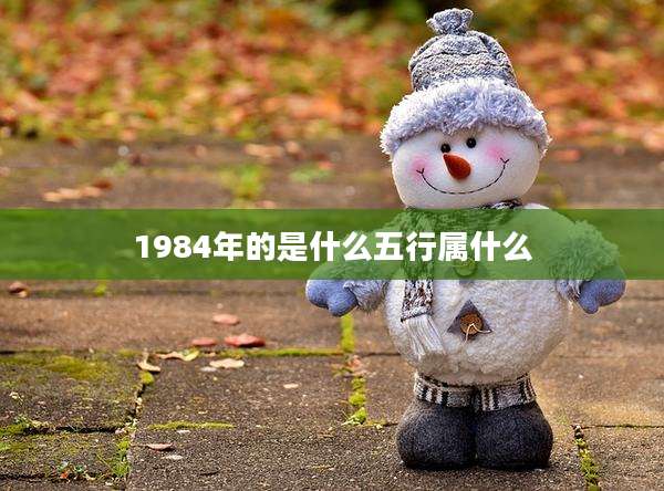1984年的是什么五行属什么