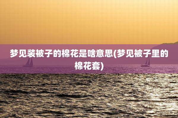 梦见装被子的棉花是啥意思(梦见被子里的棉花套)