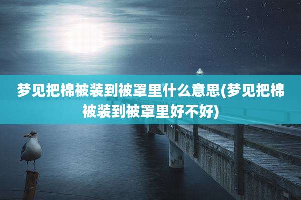 梦见把棉被装到被罩里什么意思(梦见把棉被装到被罩里好不好)