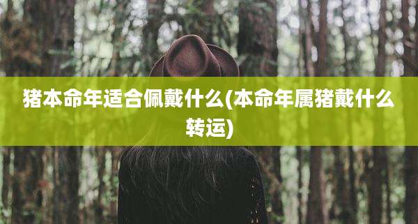 猪本命年适合佩戴什么(本命年属猪戴什么转运)