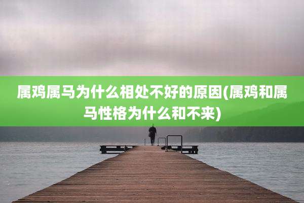 属鸡属马为什么相处不好的原因(属鸡和属马性格为什么和不来)