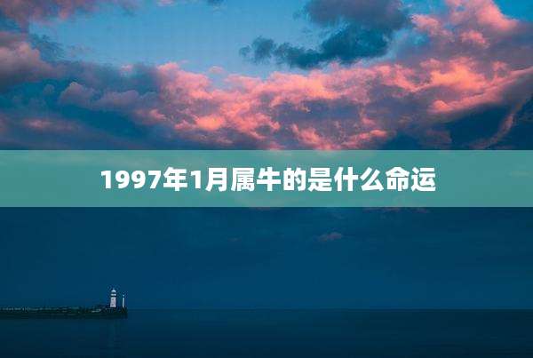 1997年1月属牛的是什么命运
