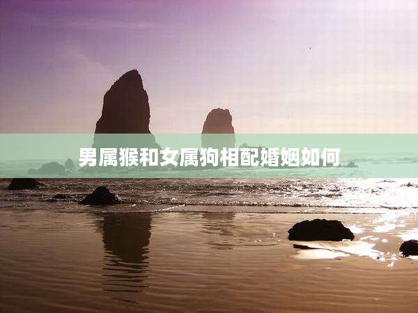 男属猴和女属狗相配婚姻如何